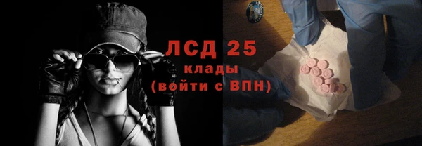 ПСИЛОЦИБИНОВЫЕ ГРИБЫ Алзамай