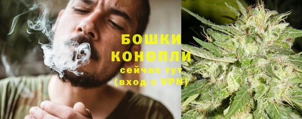 ПСИЛОЦИБИНОВЫЕ ГРИБЫ Алзамай