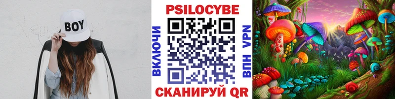 где купить наркотик  Иноземцево  Псилоцибиновые грибы мицелий 